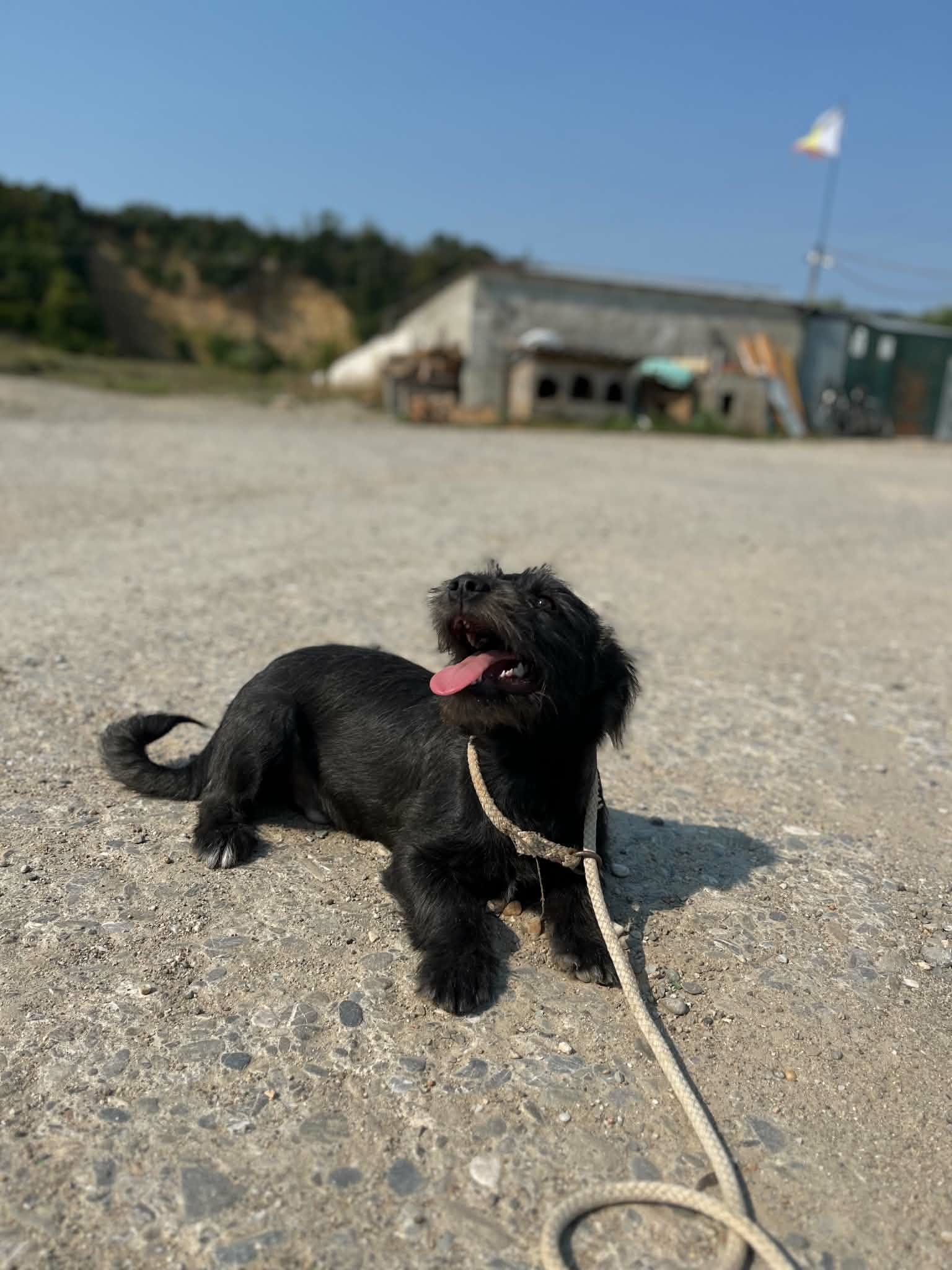 Max